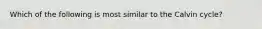 Which of the following is most similar to the Calvin cycle?