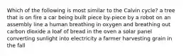 Which of the following is most similar to the Calvin cycle? a tree that is on fire a car being built piece by-piece by a robot on an assembly line a human breathing in oxygen and breathing out carbon dioxide a loaf of bread in the oven a solar panel converting sunlight into electricity a farmer harvesting grain in the fall