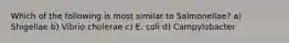 Which of the following is most similar to Salmonellae? a) Shigellae b) Vibrio cholerae c) E. coli d) Campylobacter