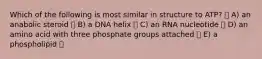 Which of the following is most similar in structure to ATP? A) an anabolic steroid B) a DNA helix C) an RNA nucleotide D) an amino acid with three phosphate groups attached E) a phospholipid