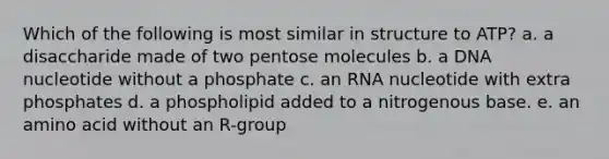 Which of the following is most similar in structure to ATP? a. a disaccharide made of two pentose molecules b. a DNA nucleotide without a phosphate c. an RNA nucleotide with extra phosphates d. a phospholipid added to a nitrogenous base. e. an amino acid without an R-group