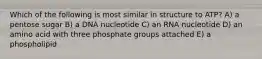 Which of the following is most similar in structure to ATP? A) a pentose sugar B) a DNA nucleotide C) an RNA nucleotide D) an amino acid with three phosphate groups attached E) a phospholipid