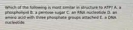 Which of the following is most similar in structure to ATP? A. a phospholipid B. a pentose sugar C. an RNA nucleotide D. an amino acid with three phosphate groups attached E. a DNA nucleotide