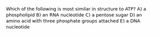 Which of the following is most similar in structure to ATP? A) a phospholipid B) an RNA nucleotide C) a pentose sugar D) an amino acid with three phosphate groups attached E) a DNA nucleotide