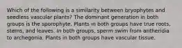 Which of the following is a similarity between bryophytes and seedless vascular plants? The dominant generation in both groups is the sporophyte. Plants in both groups have true roots, stems, and leaves. In both groups, sperm swim from antheridia to archegonia. Plants in both groups have vascular tissue.