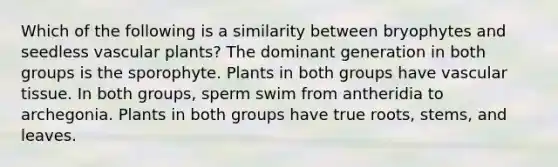 Which of the following is a similarity between bryophytes and seedless vascular plants? The dominant generation in both groups is the sporophyte. Plants in both groups have vascular tissue. In both groups, sperm swim from antheridia to archegonia. Plants in both groups have true roots, stems, and leaves.