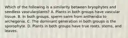 Which of the following is a similarity between bryophytes and seedless vascularplants? A. Plants in both groups have vascular tissue. B. In both groups, sperm swim from antheridia to archegonia. C. The dominant generation in both groups is the sporophyte. D. Plants in both groups have true roots, stems, and leaves.