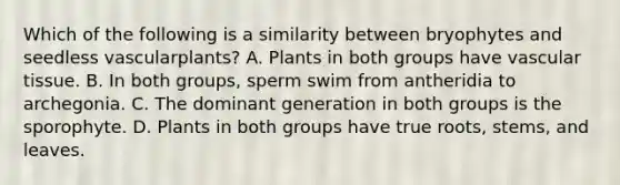 Which of the following is a similarity between bryophytes and seedless vascularplants? A. Plants in both groups have vascular tissue. B. In both groups, sperm swim from antheridia to archegonia. C. The dominant generation in both groups is the sporophyte. D. Plants in both groups have true roots, stems, and leaves.