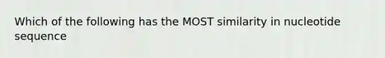 Which of the following has the MOST similarity in nucleotide sequence