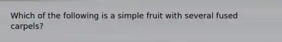 Which of the following is a simple fruit with several fused carpels?