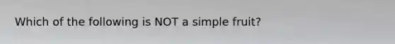 Which of the following is NOT a simple fruit?