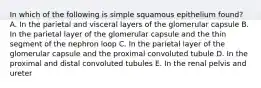 In which of the following is simple squamous epithelium found? A. In the parietal and visceral layers of the glomerular capsule B. In the parietal layer of the glomerular capsule and the thin segment of the nephron loop C. In the parietal layer of the glomerular capsule and the proximal convoluted tubule D. In the proximal and distal convoluted tubules E. In the renal pelvis and ureter