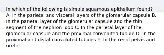 In which of the following is simple squamous epithelium found? A. In the parietal and visceral layers of the glomerular capsule B. In the parietal layer of the glomerular capsule and the thin segment of the nephron loop C. In the parietal layer of the glomerular capsule and the proximal convoluted tubule D. In the proximal and distal convoluted tubules E. In the renal pelvis and ureter