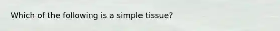 Which of the following is a simple tissue?