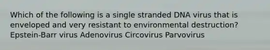 Which of the following is a single stranded DNA virus that is enveloped and very resistant to environmental destruction? Epstein-Barr virus Adenovirus Circovirus Parvovirus