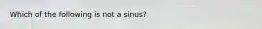 Which of the following is not a sinus?