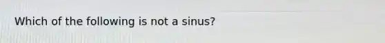 Which of the following is not a sinus?