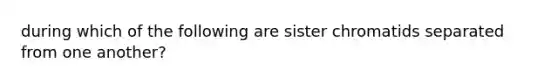 during which of the following are sister chromatids separated from one another?