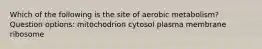 Which of the following is the site of aerobic metabolism? Question options: mitochodrion cytosol plasma membrane ribosome