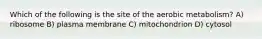 Which of the following is the site of the aerobic metabolism? A) ribosome B) plasma membrane C) mitochondrion D) cytosol