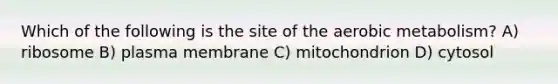 Which of the following is the site of the aerobic metabolism? A) ribosome B) plasma membrane C) mitochondrion D) cytosol