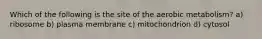 Which of the following is the site of the aerobic metabolism? a) ribosome b) plasma membrane c) mitochondrion d) cytosol