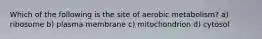 Which of the following is the site of aerobic metabolism? a) ribosome b) plasma membrane c) mitochondrion d) cytosol