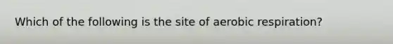 Which of the following is the site of <a href='https://www.questionai.com/knowledge/kyxGdbadrV-aerobic-respiration' class='anchor-knowledge'>aerobic respiration</a>?