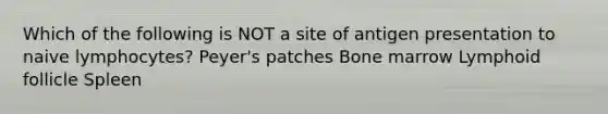 Which of the following is NOT a site of antigen presentation to naive lymphocytes? Peyer's patches Bone marrow Lymphoid follicle Spleen