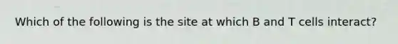 Which of the following is the site at which B and T cells interact?