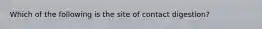 Which of the following is the site of contact digestion?