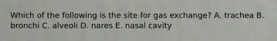 Which of the following is the site for gas exchange? A. trachea B. bronchi C. alveoli D. nares E. nasal cavity