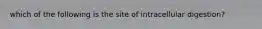 which of the following is the site of intracellular digestion?