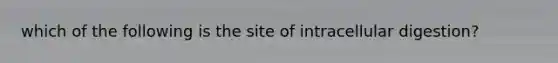 which of the following is the site of intracellular digestion?