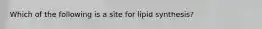 Which of the following is a site for lipid synthesis?