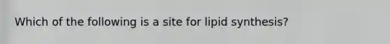 Which of the following is a site for lipid synthesis?