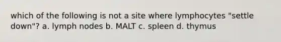 which of the following is not a site where lymphocytes "settle down"? a. lymph nodes b. MALT c. spleen d. thymus