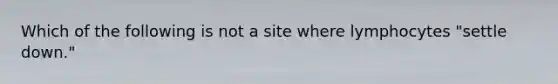 Which of the following is not a site where lymphocytes "settle down."