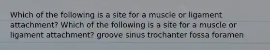 Which of the following is a site for a muscle or ligament attachment? Which of the following is a site for a muscle or ligament attachment? groove sinus trochanter fossa foramen