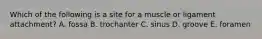 Which of the following is a site for a muscle or ligament attachment? A. fossa B. trochanter C. sinus D. groove E. foramen