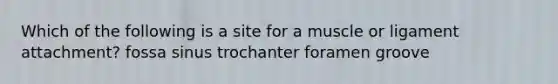 Which of the following is a site for a muscle or ligament attachment? fossa sinus trochanter foramen groove