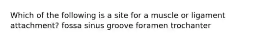 Which of the following is a site for a muscle or ligament attachment? fossa sinus groove foramen trochanter