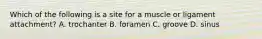 Which of the following is a site for a muscle or ligament attachment? A. trochanter B. foramen C. groove D. sinus