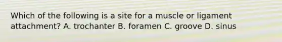 Which of the following is a site for a muscle or ligament attachment? A. trochanter B. foramen C. groove D. sinus