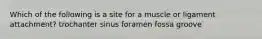 Which of the following is a site for a muscle or ligament attachment? trochanter sinus foramen fossa groove