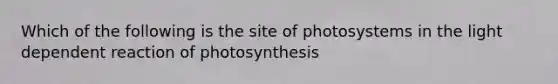 Which of the following is the site of photosystems in the light dependent reaction of photosynthesis