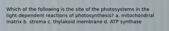 Which of the following is the site of the photosystems in the light-dependent reactions of photosynthesis? a. mitochondrial matrix b. stroma c. thylakoid membrane d. ATP synthase