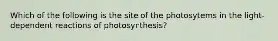 Which of the following is the site of the photosytems in the light-dependent reactions of photosynthesis?