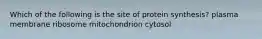 Which of the following is the site of protein synthesis? plasma membrane ribosome mitochondrion cytosol