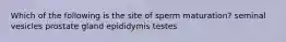 Which of the following is the site of sperm maturation? seminal vesicles prostate gland epididymis testes